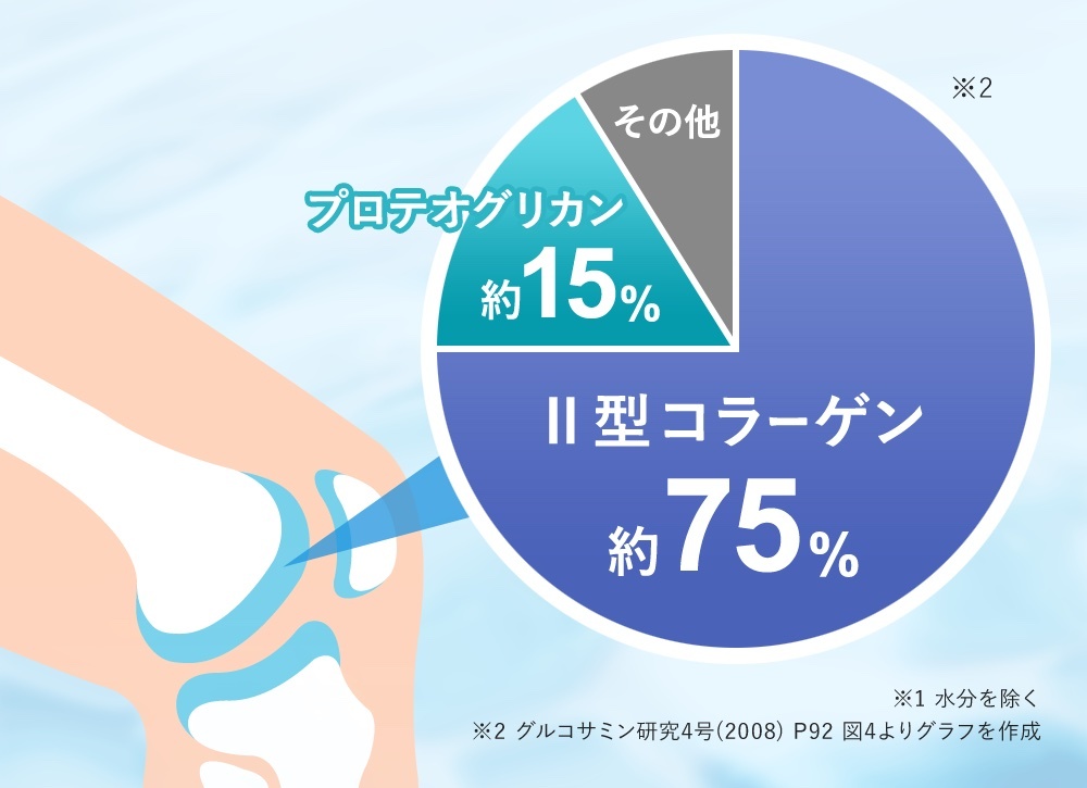 Ⅱ型コラーゲンとプロテオグリカンが軟骨の約90%を占める
