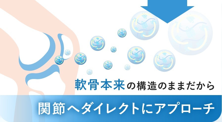 軟骨本来の構造のままだから関節へダイレクトにアプローチ